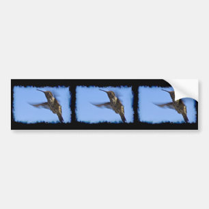 Flight of the Hummingbird Bumper Sticker