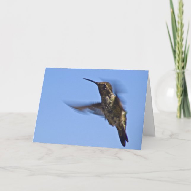 Flight of the Hummingbird Card (Front)
