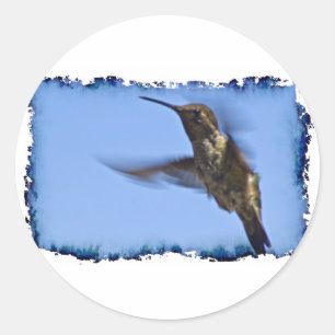 Flight of the Hummingbird Classic Round Sticker