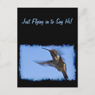 Flight of the Hummingbird Postcard