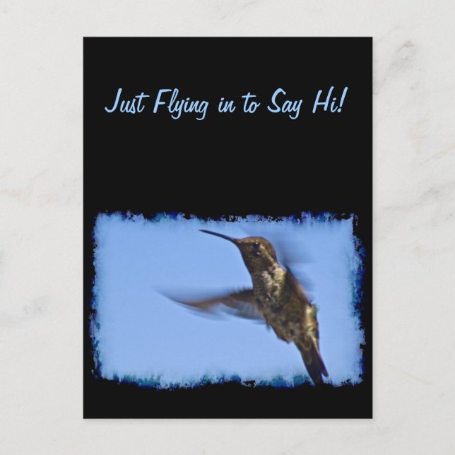 Flight of the Hummingbird Postcard (Front)