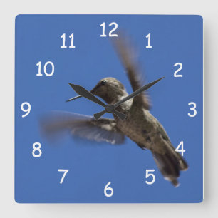 Flight of the  Hummingbird Square Wall Clock