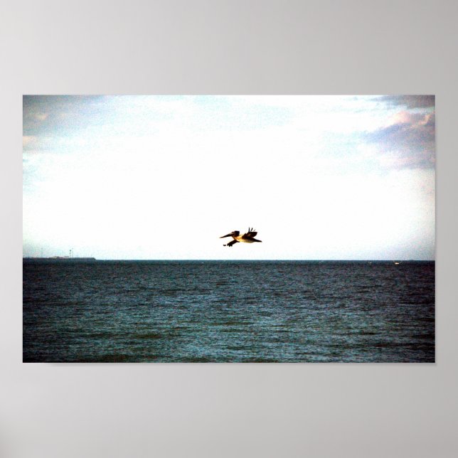 Flight of the Pelican Poster (Front)