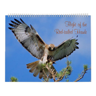 Flight of the Red Hawk Calendar