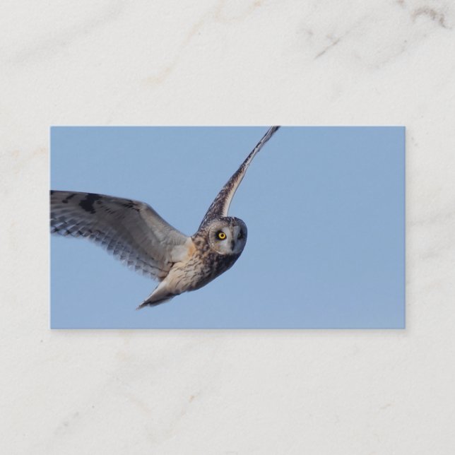 Flight of the Short-Eared Owl Business Card (Front)