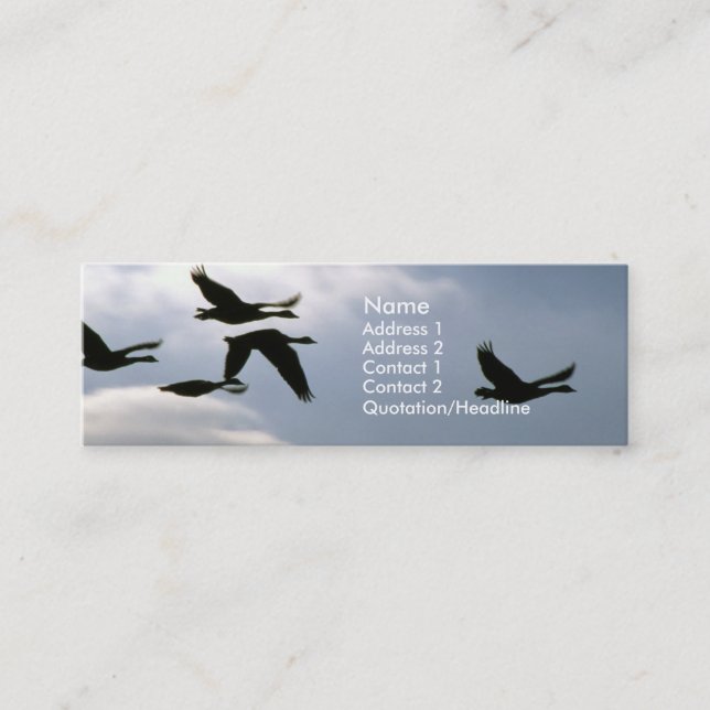 Flight of the Wild Geese | No. 2 Mini Business Card (Front)