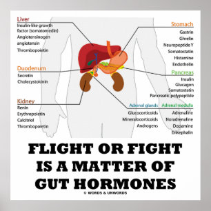 Flight Or Fight Is A Matter Of Gut Hormones Poster