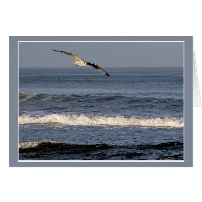 Flight Over OBX (Front Horizontal)