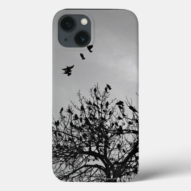 Flight Path Case-Mate iPhone Case (Back)
