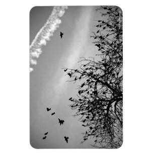 Flight Path Magnet