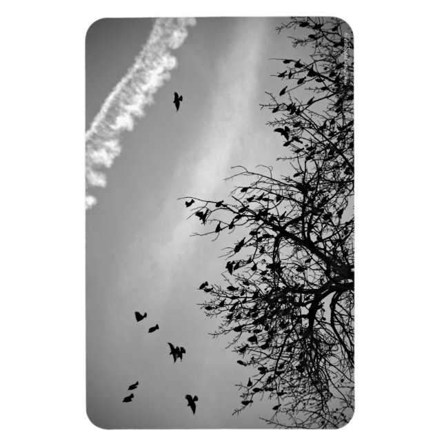 Flight Path Magnet (Vertical)