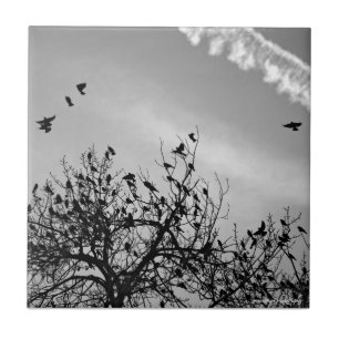 Flight Path Tile