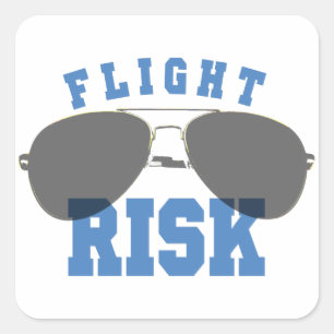 Flight Risk Aviation Glasses Square Sticker