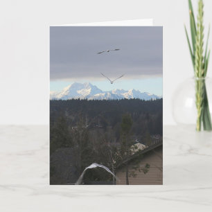 Flight to Majestic Horizons: Seagulls of the Olymp Card