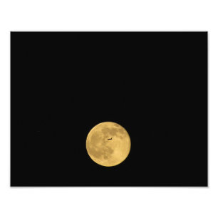 Flight to the Moon Photo Print
