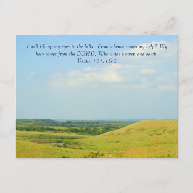 Flint Hills in Summer Postcard (Front)