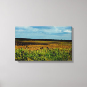 Flint Hills of Kansas canvas print