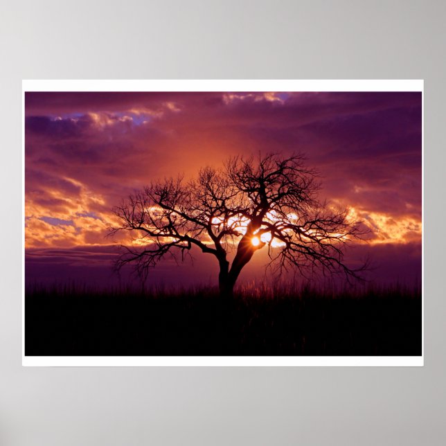 Flint Hills Sunset Poster (Front)