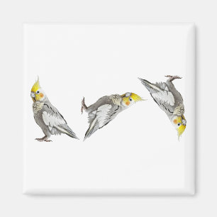 Flip the Bird Cockatiel Funny Dad Joke Silly Ha Ha Magnet
