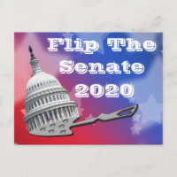 Flip The Senate Vote 2020