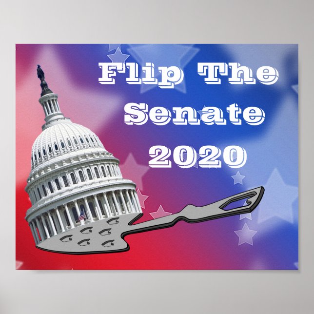 Flip The Senate Vote 2020 Poster (Front)