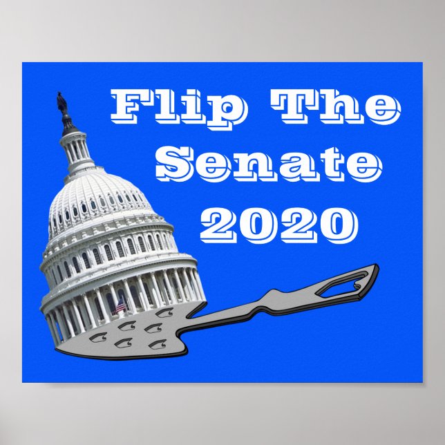 Flip The Senate Vote Blue 2020 Poster (Front)