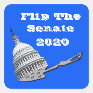 Flip The Senate Vote Blue 2020 Square Sticker