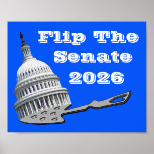 Flip The Senate Vote Blue 2026 Poster