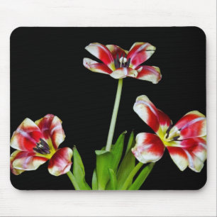 Flipped Out Mouse Mat
