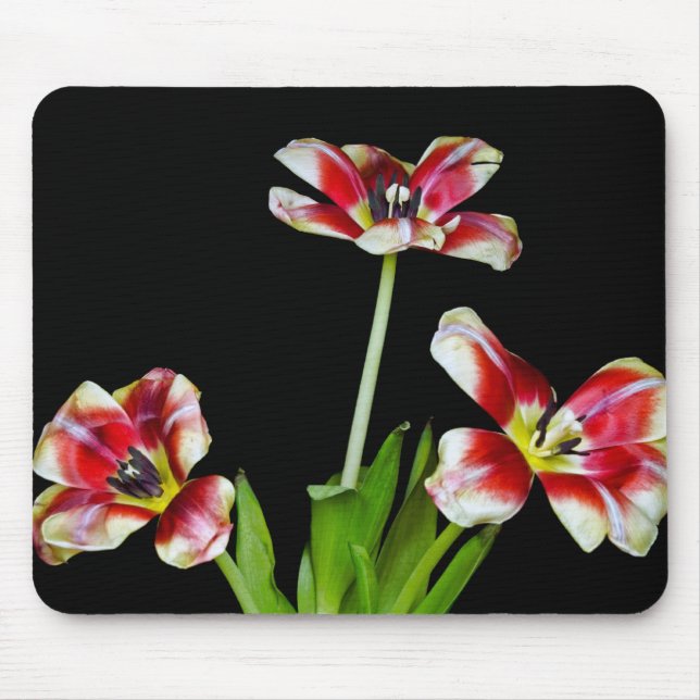 Flipped Out Mouse Mat (Front)