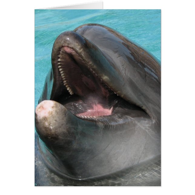 Flipper Card (Front)