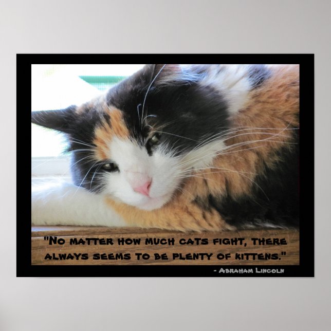 Flirty eyed calico with Abraham Lincon  quote Poster (Front)
