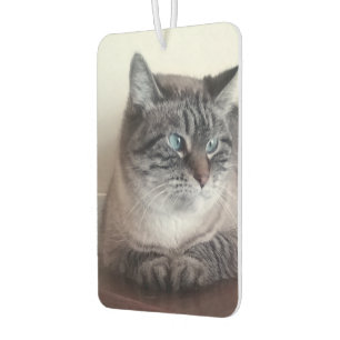 Flo Kitty-Kat Car Air Freshener