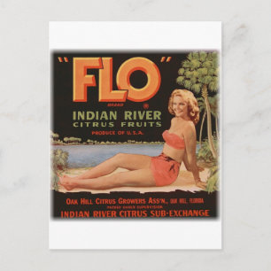 Flo Oranges Vintage Postcard