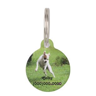 Float Pet ID Tag