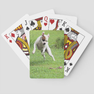 Float Playing Cards