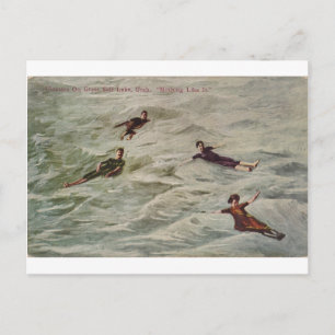 Floaters on Great Salt Lake, Utah Postcard