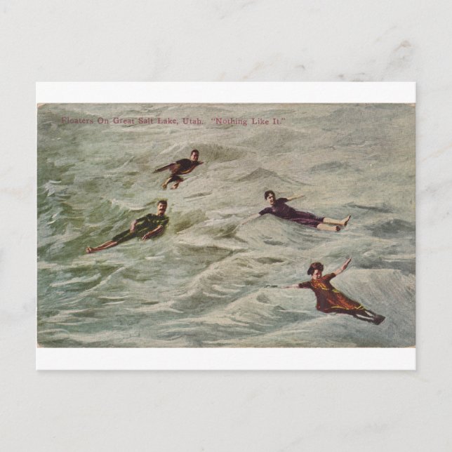 Floaters on Great Salt Lake, Utah Postcard (Front)