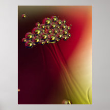 Floating Abstract Bubbles Colourful Background