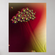 Floating Abstract Bubbles Colourful Background