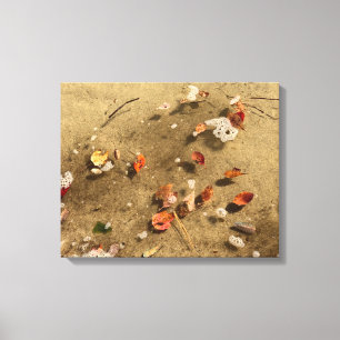 Floating Autumn Leaves Canvas Print