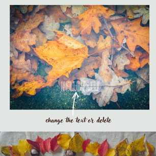 Floating autumn leaves  poster