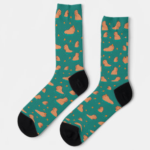 floating capybaras with orange socks