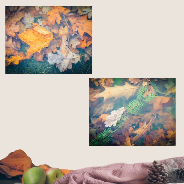 Floating colourful autumn leaves and branches  (Creator Uploaded)