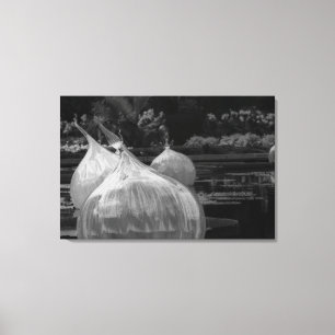 Floating glass bulbs canvas print