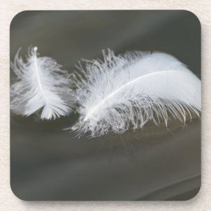 Floating Goose Feathers Coaster