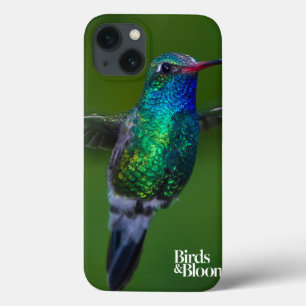 Floating Hummingbird iPhone 13 Case