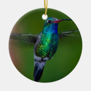 Floating Hummingbird Ceramic Tree Decoration