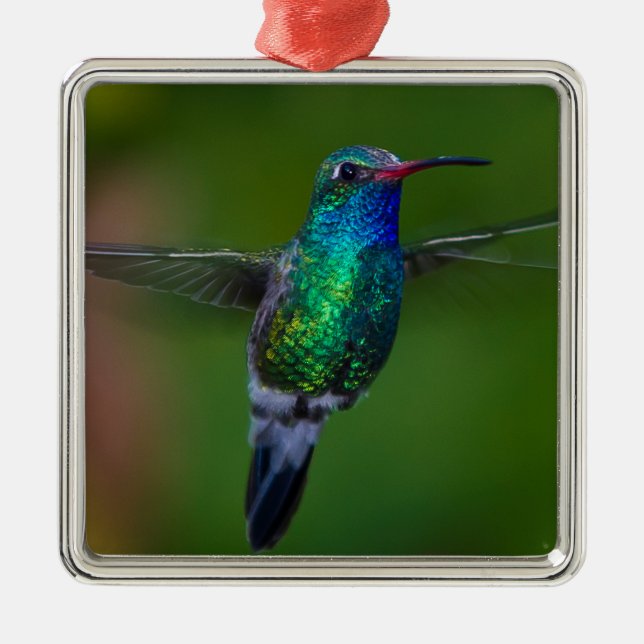 Floating Hummingbird Metal Tree Decoration (Front)
