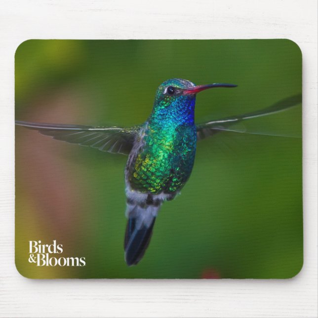 Floating Hummingbird Mouse Mat (Front)